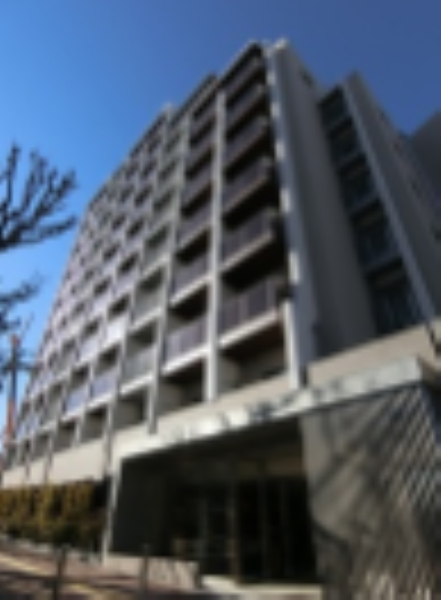 23914画像