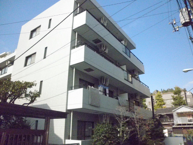 248画像