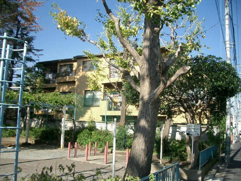 28025画像