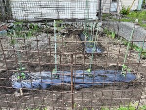 鹿よけの鉄格子